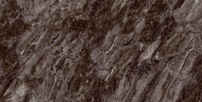 طوسی تیره/ Face2