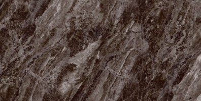 طوسی تیره/ Face3