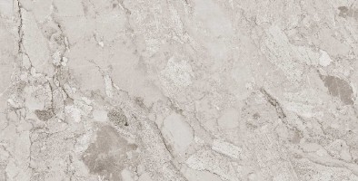 طوسی تیره/ Face1