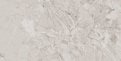 طوسی تیره/ Face2