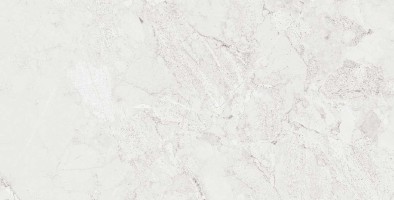 طوسی روشن/ Face6