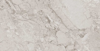 طوسی تیره/ Face4