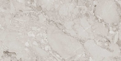 طوسی تیره/ Face6