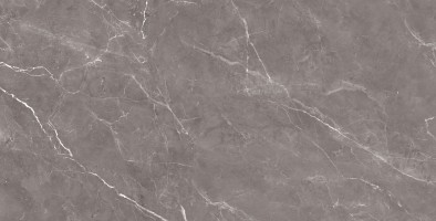 طوسی تیره/ Face2