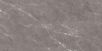 طوسی تیره/ Face3