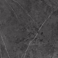 طوسی تیره/ Face2